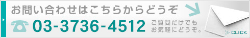 お問い合わせはこちらからどうぞ 03-3733-8801
